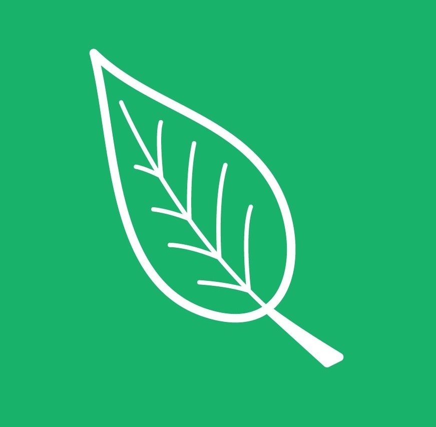 white outline image of a leaf on a green background
