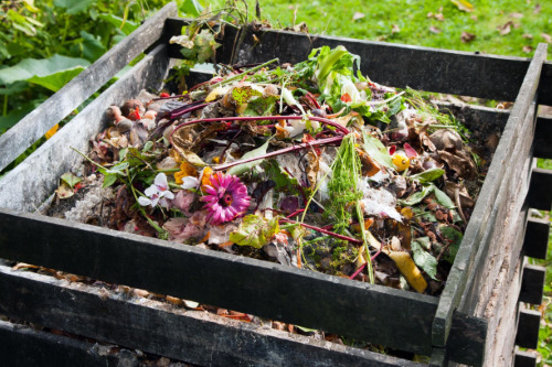 Square crate full of compost found in kitchen and garden
