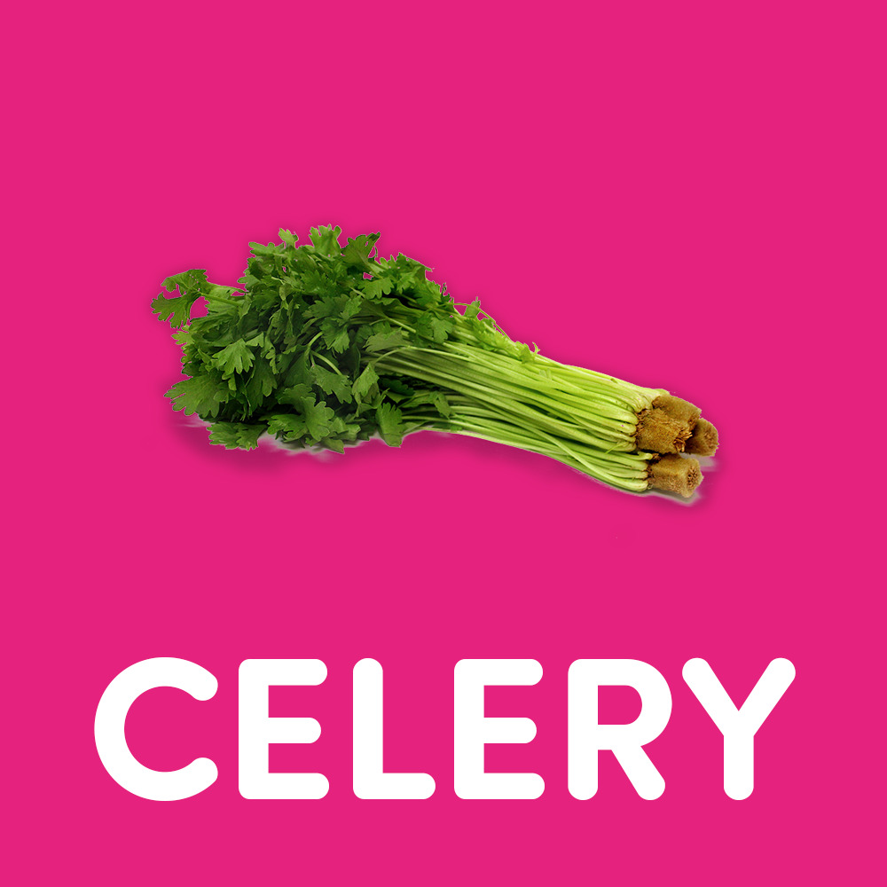 CELERY