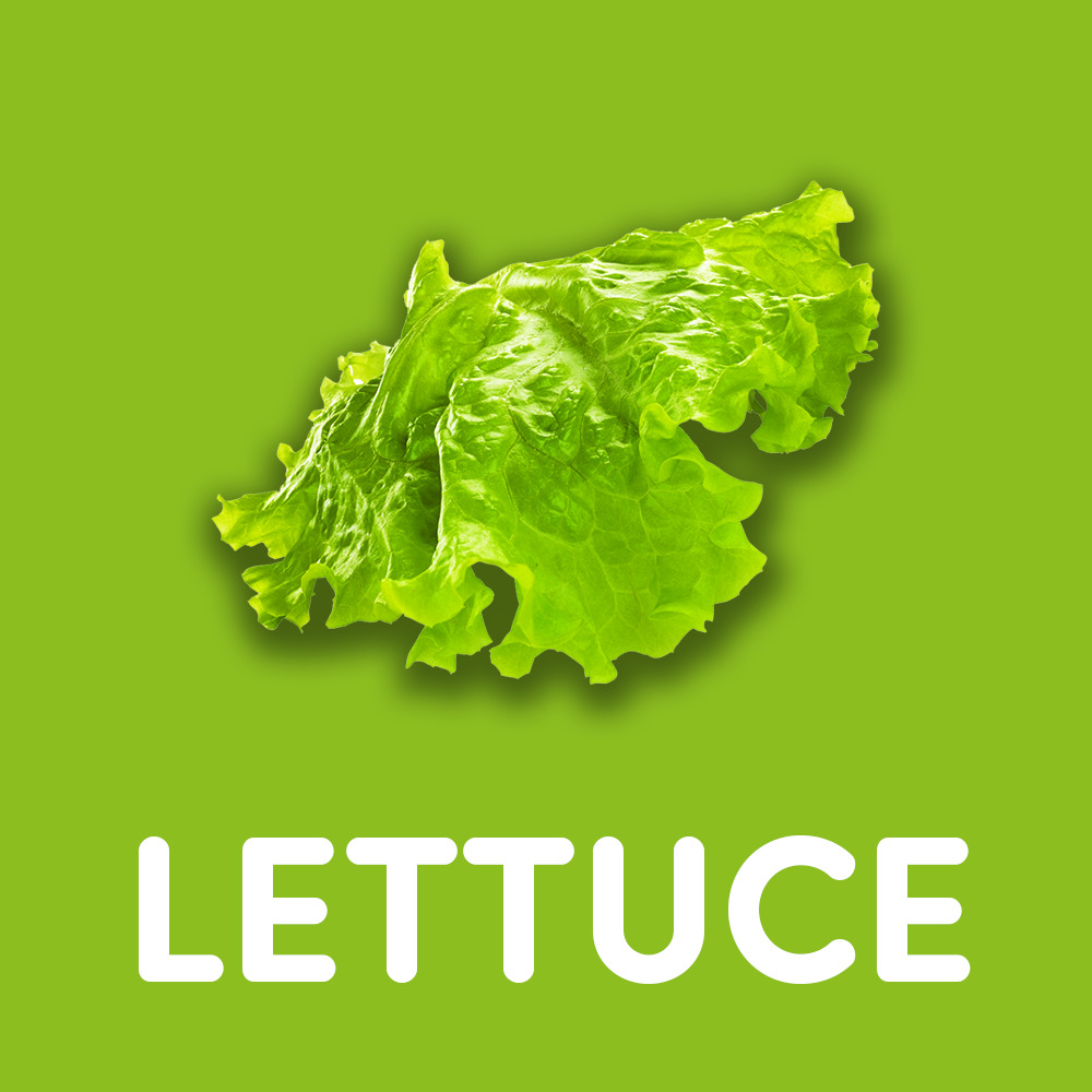 LETTUCE