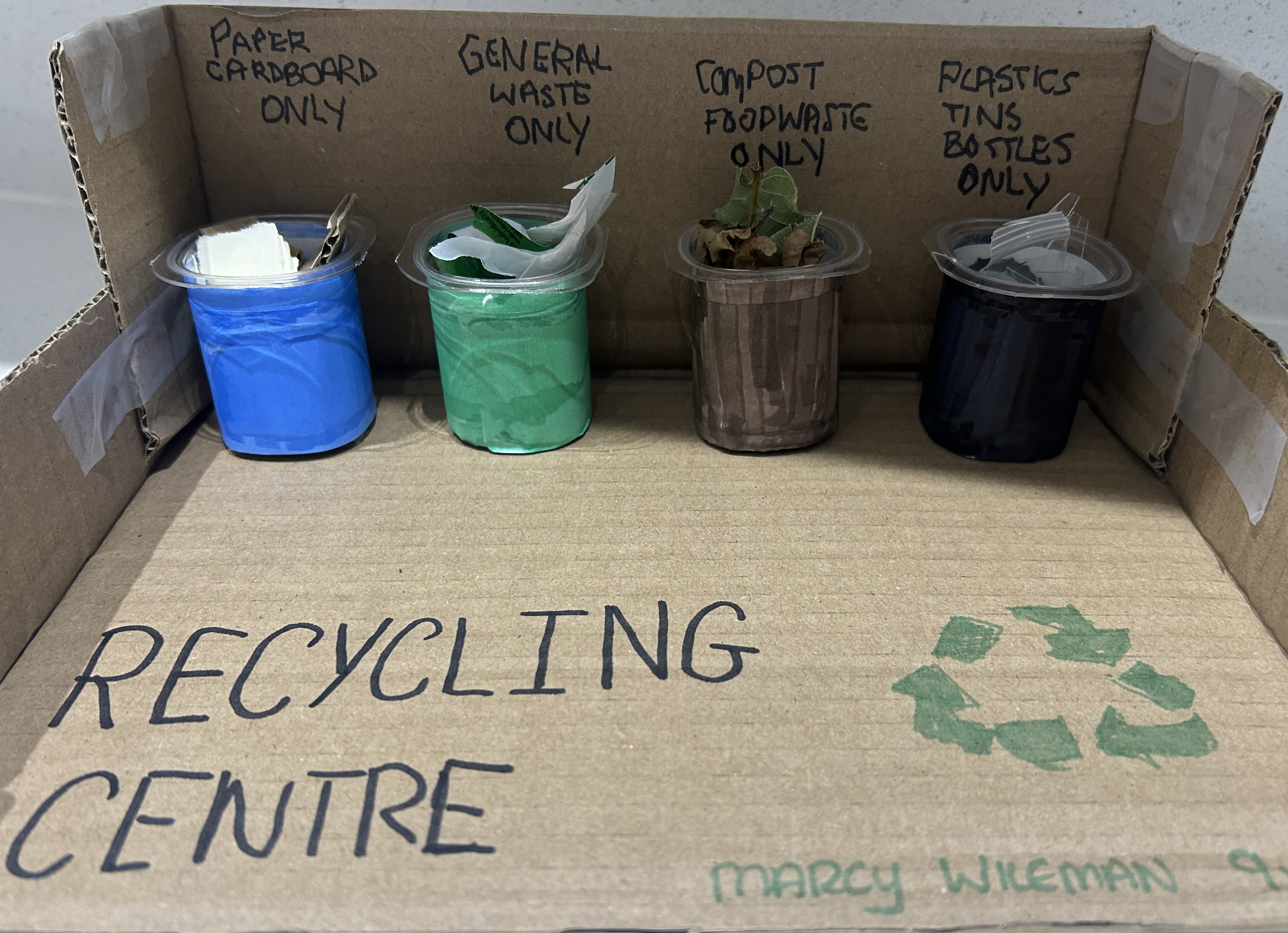 In our area the bins are green blue black and brown and I’ve imitated this for recycling