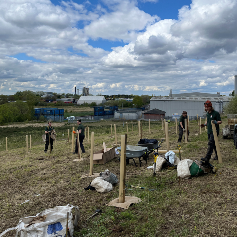 City of Trees planting trees to help create greener places