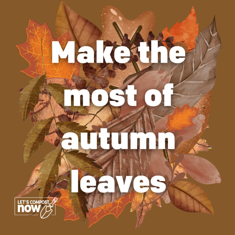 pile of brown and orange leaves with text: 